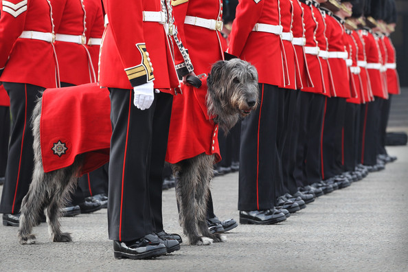 Click image for larger version. 

Name:	Soldiers+Irish+Guards+Prepare+Ceremonial+Duties+EKEQBPFggtel.jpg 
Views:	387 
Size:	91.2 KB 
ID:	11892