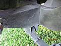 Click image for larger version

Name:	IMG_2178.jpg
Views:	1330
Size:	131.4 KB
ID:	173883